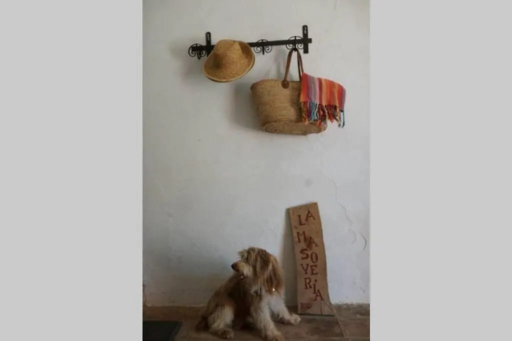 Casa rural Masoveria del Mas Plaja de Fitor Hostal Palafrugell España